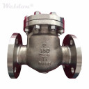 Titanium Swing Check Valve, ASTM B367 GR.C2, 2 Inch, 150 LB, RF