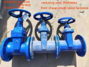 China valve manufacture supply gate valve for Russia market