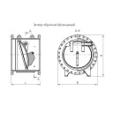 Затвор обратный ЗО-50-1,6-Б-Ф-С0-У1 по ОТТ‑75.180.00‑КТН‑352‑09