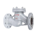 Клапан обратный подъемный стальной 16с10нж