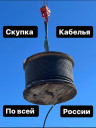Нелеквиды
