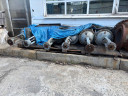Задвижки БУ из под нефти 30с941нж ду300