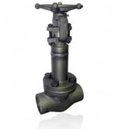 DIN 3356 Bellows Sealed Globe Valve, ASTM A217 WC1, 2-12IN