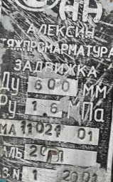 ЗАДВИЖКИ ДУ 600 РУ 16 аликсина