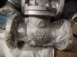 Клапана 19с53нж