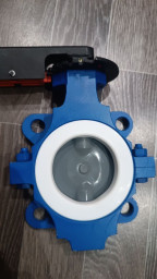 Затворы ЗПХ dn80 Гидрогаз