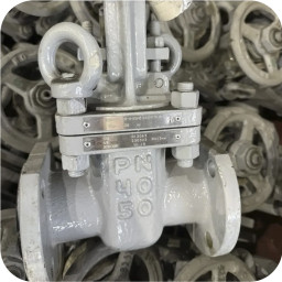 Задвижки 30с15нж