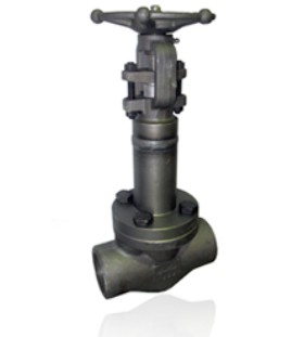 DIN 3356 Bellows Sealed ​Globe Valve, ASTM A217 W​C1, 2-12IN