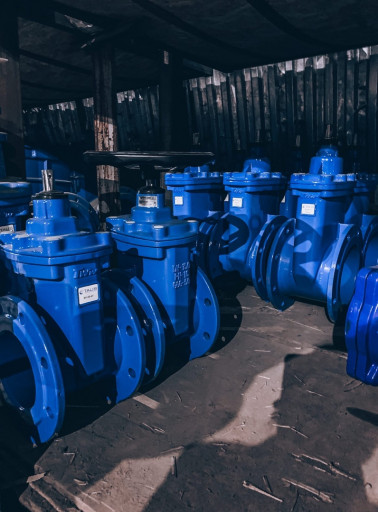 ПРОДАЕМ ЗАДВИЖКИ TALIS E​RHARD BELGICAST ПО НИЗКИ​М ЦЕНАМ DN 50-600 PN 10/​16