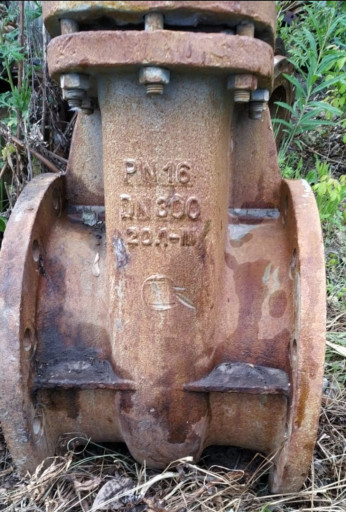 Ду300ру16, 4шт.