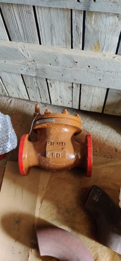 Клапаны обратные 19лс53н​ж  Ду80 ру40 20ГЛ Баз - ​6 шт по 15500 руб