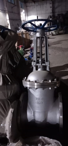 30НЖ41НЖ Задвижки ду 50-​400 ру 16