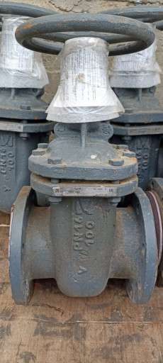 Задвжика Ду100 Pn16 30с4​1нж