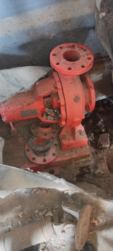Насос Pompes Salmson No ​80 250 F2-SP