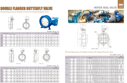 Затвор чугунный двухэксцентриковый