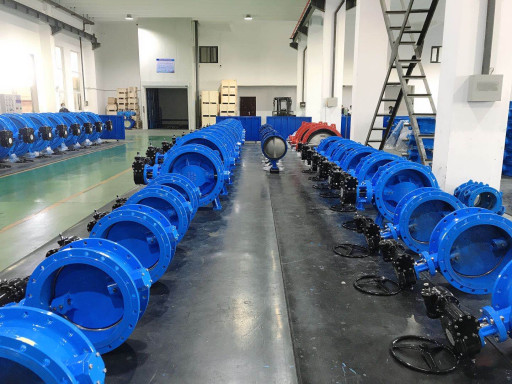 Двухэксцентриковый фланц​евый затвор