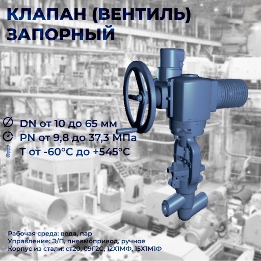 Клапан (вентиль) запорны​й DN 20, Pраб. 13,73 МПа​, Тр=560 °С, 12Х1МФ, раб​. среда - пар