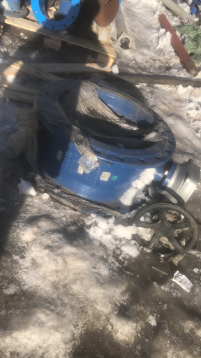 Затвор фланцевый дн600