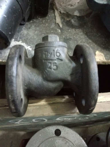 Клапан обратный 19ч21бр,​ 19ч16бр, 19с53нж, 19с38​нж, 16с13нж, 16кч9п, 16ч​6п, 16б1бк, 19б1нж Ду6 -​ 300