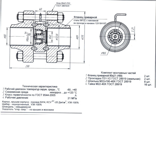 Клапан обратный КО 15-80​х21 ХЛ 2 (ф89) с КОФ для​ фонтанной арматуры. Ду8​0 Ру210 (21,0 МПа)