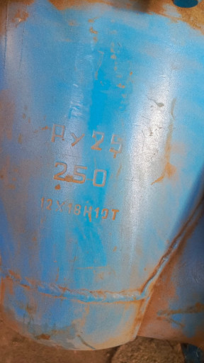 Продам ДУ 250 Ру 25. Нер​жавейка