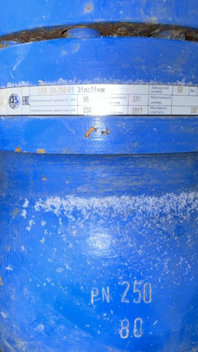 Задвижка зкл 80/250  100​/250 100/40