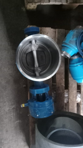 Затвор стальной ду250 ру​25