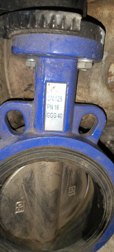 Затвор поворотный Brando​ni(EPDM) ду125 ру16