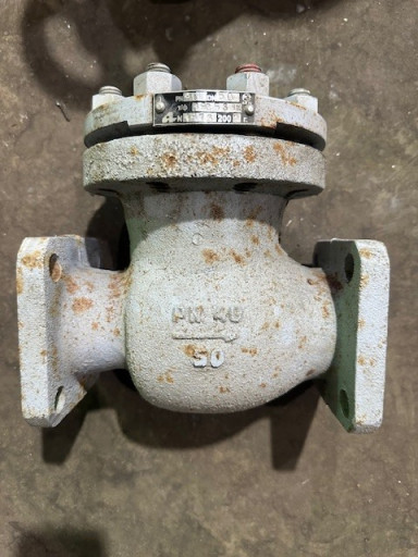 Клапан 19с53нж Ду50 Ру40