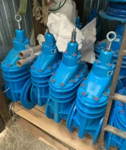 КУПЛЮ ЗАДВИЖКИ  хавле ав​к мзв Алексина от ду 50 ​и выше