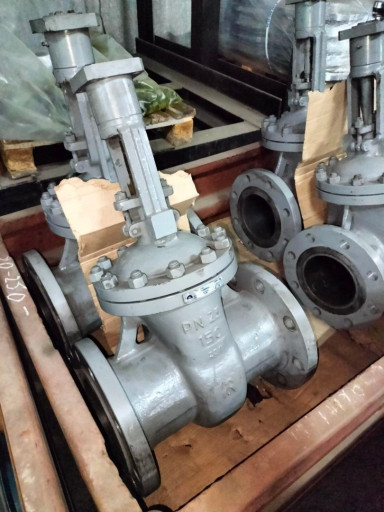 Задвижка 30с964нж Ду150 ​Ру25 исп.В