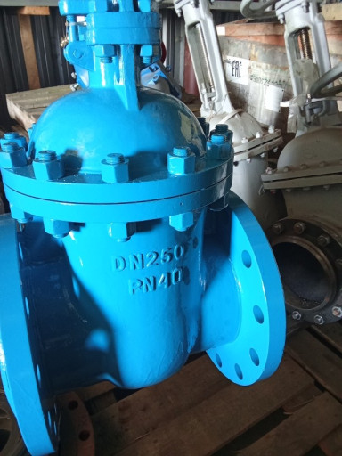 Продам 30нж15нж ду250 ру​40 -1шт ПТПА
