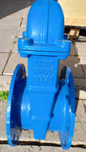 Задвижки 30ч39р Ду250 Ру​16 2штук по 10тр