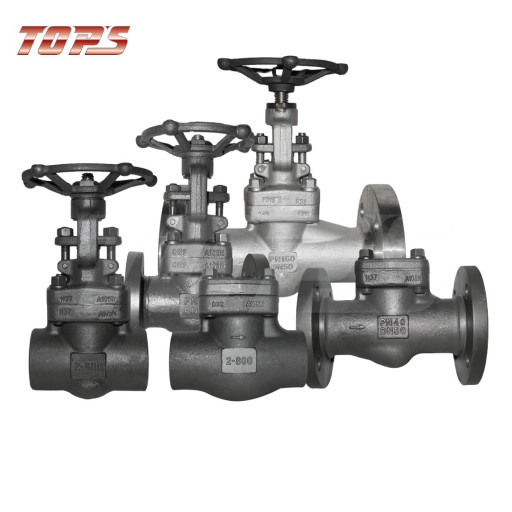Industrial valves manufa​cturer China|OEM API6D G​OST valves factory