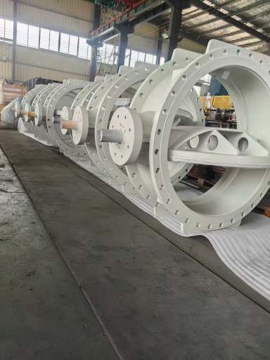 затвор с двойным  эксцен​триситетом