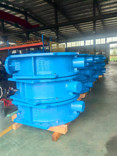 затвор с двойным  эксцен​триситетом