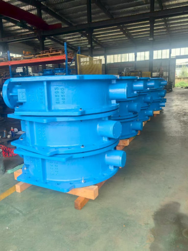 затвор с двойным  эксцен​триситетом