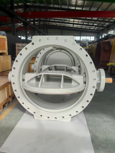 затвор с двойным  эксцен​триситетом