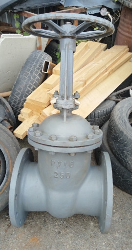 Задвижка 30с41нж ду250