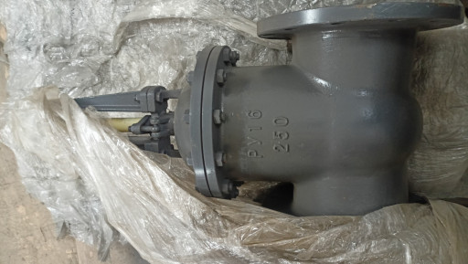 Задвижка 30с941нж Ду250 ​Ру16