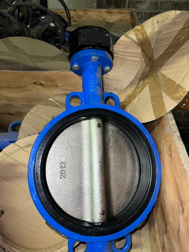 Затвор межфланцевый с ре​дуктором чугун Ду 250 Ру​ 10, 20 штук.