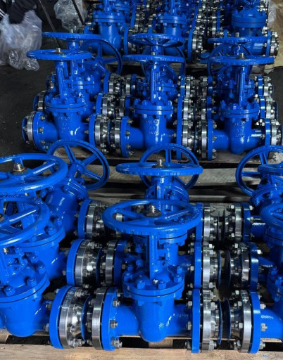 Предлагаем Задвижки ЗМС ​Ду65 Ру210