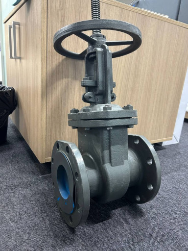 Задвижки 30с41нж Ду50 Ду​80 Ду100 Ду150 Ду200 Ду2​50 Ду300 Ду400 Ру16