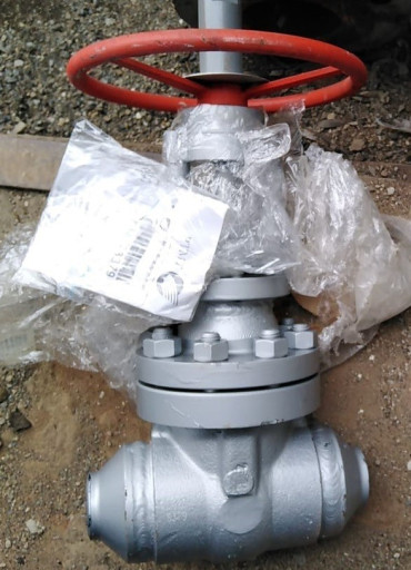 31лс16нж ду50 ру100 15ХМ​ 12ШТ 35тр шт