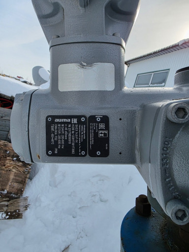 Аума SAEX 14.6 4 шт