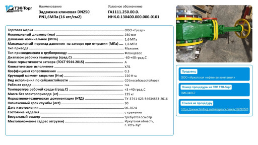 Задвижка клиновая DN250 ​PN1,6Мпа (ПИ604067)