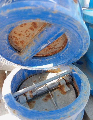 Клапан обратный RSK ДУ12​5 РУ16