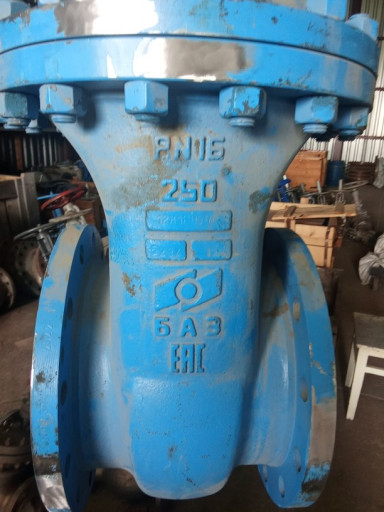 Продам 30нж41нж ду250ру1​6 -1шт БАЗ